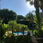 Cocotera * Córdoba